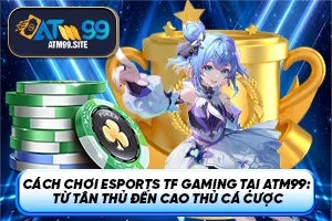 Ảnh đại diện bài viết Cách chơi Esports TF Gaming tại ATM99